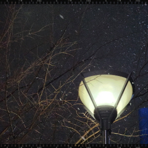 김나연_To save you